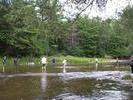 DCP 1680