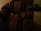 Blue and her chair