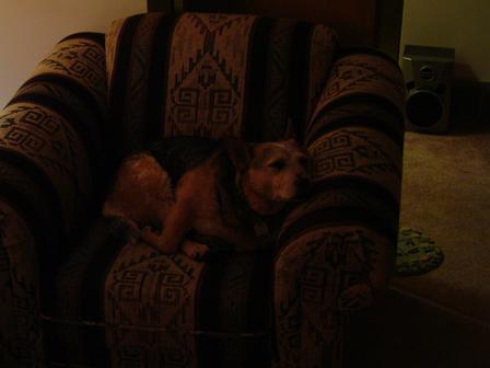Blue and her chair