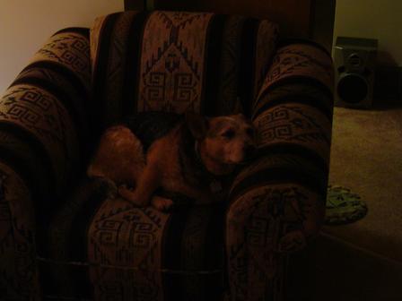 Blue and her chair