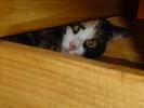 dsc00359