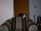 dsc00467