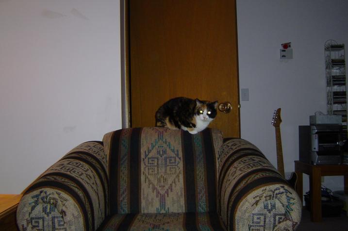 dsc00467