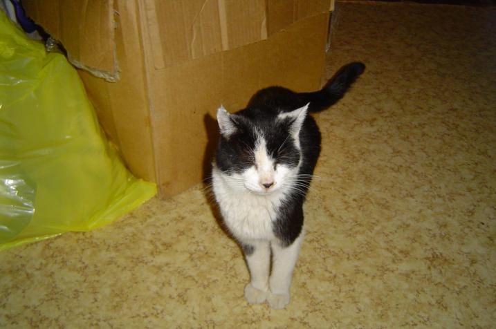 dsc00542