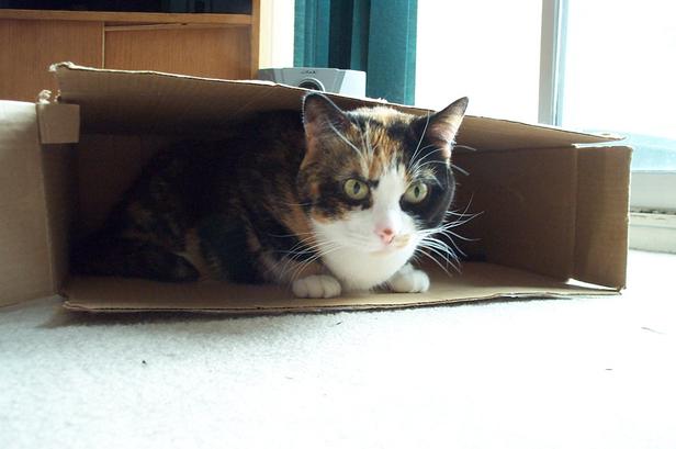 Boxed Patches