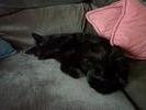 Tired Spooky