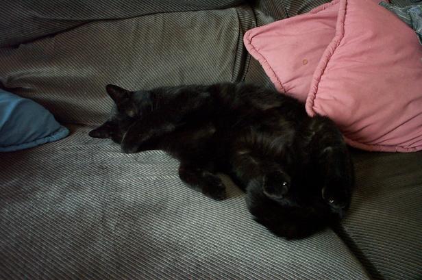 Tired Spooky