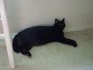 Spook flops