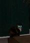 Itty Bitty Kitty Possessed